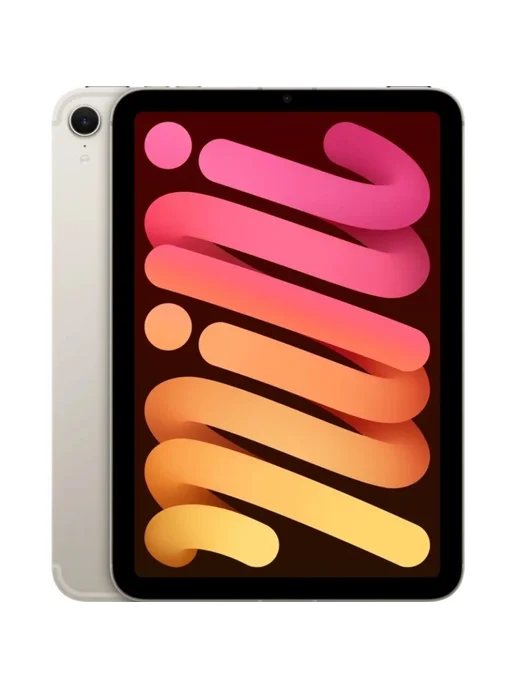 iPad Mini WiFi Cellular 256gb Starl